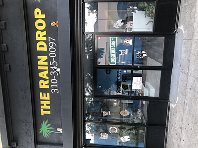 The Rain Drop llc - Los Angeles | Pets | Logo