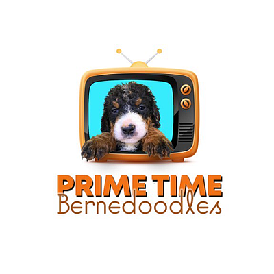 Prime Time Bernedoodles - Ocala | Pets | Logo