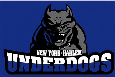 New York Underdogs Basketball ABA - New York | Venues | Logo