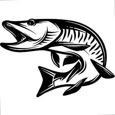 Toothy Critters Charters - Dunkirk | Sporting Goods | Logo