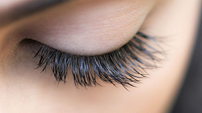 Gilded Lily Lash Studio - Prairie du Chien | Salons & Nails | Logo