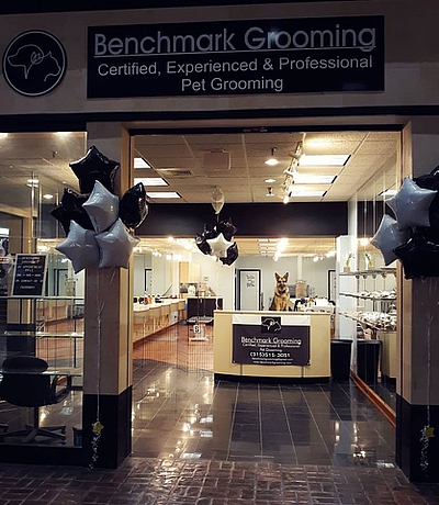Benchmark Grooming - Auburn | Pets | Logo