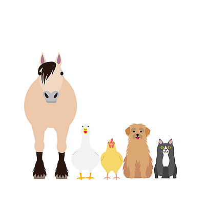 Mountain Pets - Port Matilda | Pets | Logo