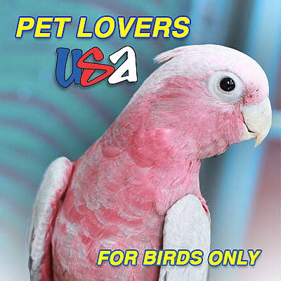 For Birds Only - Mineola | Pets | Logo