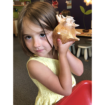 Vaulting Frogs Preschool - Woodinville | Baby & Kids | Logo