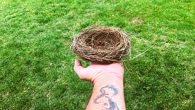 The BurdsNest - Fort Collins | Education | Logo
