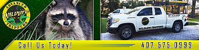 Advanced Wildlife Trappers - Altamonte Springs | Pets | Logo