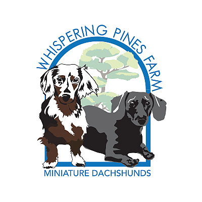 Whispering Pines Farm Miniature Dachshunds - CORRYTON | Pets | Logo
