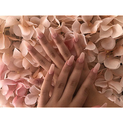 Anna Nail & Spa - West Carrollton | Salons & Nails | Logo