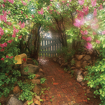 Caliber Fence Company - Brunswick | House & Garden | Logo