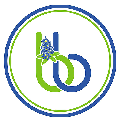 BB NAILS - The Colony | Salons & Nails | Logo