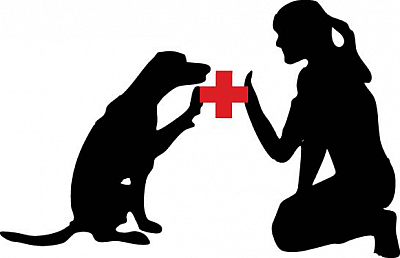 My Little Dog Training Academy & Daycare - Lebanon | Pets | Logo