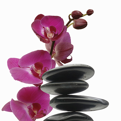 Balance Skin Care Studio - Louisville | Beauty & Spas | Logo