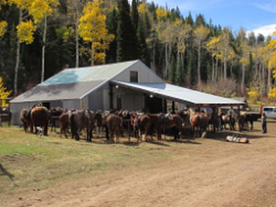 Code of the West Outfitters - Meeker | Retail | Logo