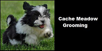 Cache Meadow Grooming - Logan | Pets | Logo