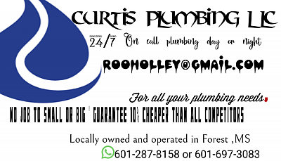 Curtis Holley - Forest | Electronics & Wireless | Logo