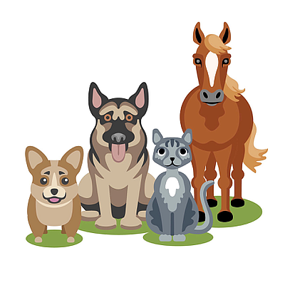 In Home Veterinary Nursing Care & Rehabilitaion IHVNCR - Lake Bluff | Pets | Logo