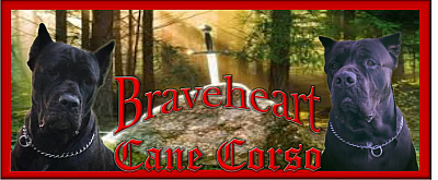 Braveheart Cane Corso Oklahoma - Pryor | Pets | Logo