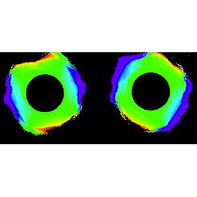 Spectacles for Humans - San Francisco | Retail | Logo