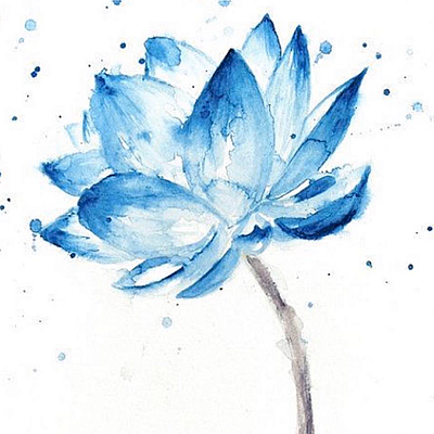 Ancient Wisdom Skincare Products - Durham | Retail | Logo