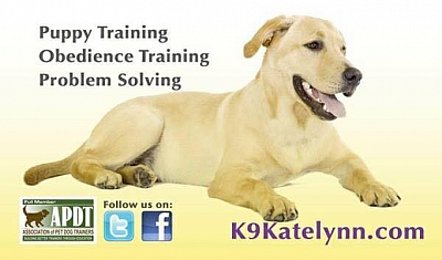 k9katelynn Dog Trainee - Scottsdale | Pets | Logo