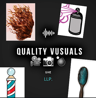 Quality Visuals LLP - Fort wayne | Art & Museums | Logo