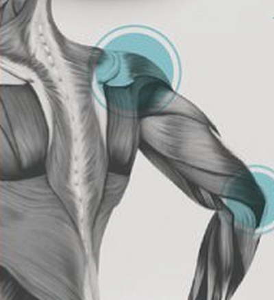 Orthopedic Bodyworks - Orland Park | Beauty & Spas | Logo