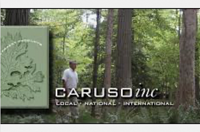 Caruso, Inc. Logs & Timber - West Point | Contractors & Supplies | Logo