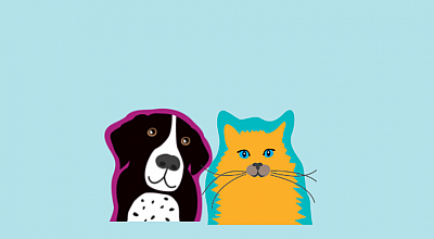 Affordable Kennels of Huffman - Huffman | Pets | Logo