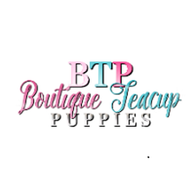 Boutique Teacup Puppies - Houston | Pets | Logo