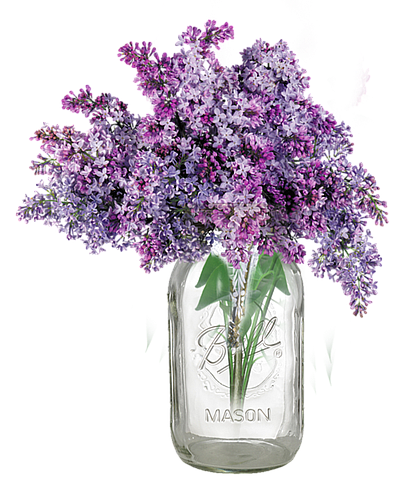 Blue Lavender Honey Farm - Wolfe City | B2B Services | Logo