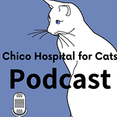 Chico Hospital For Cats - Chico | Professional Services | Logo