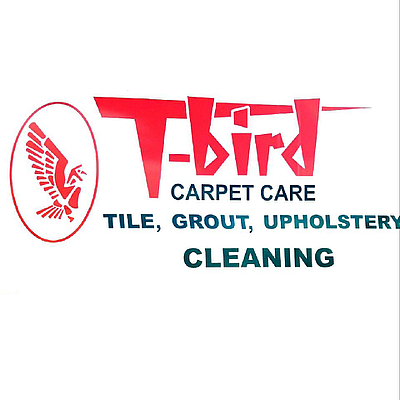 T Bird Carpet Care - Washington | Marketing & Media | Logo