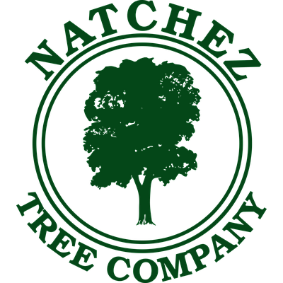 Natchez Tree Company - Lamar | Baby & Kids | Logo