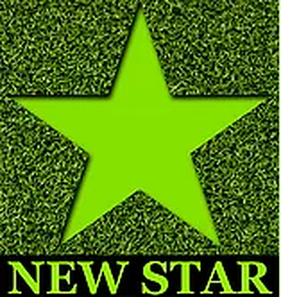 New Star Landscaping and Construction - Belleville | House & Garden | Logo