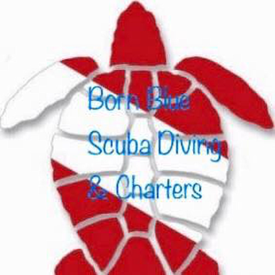 Born Blue Diving Charters, Inc. - Palmetto | Automotive Services | Logo