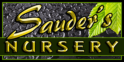 Sauder's Nursery - Malvern | Baby & Kids | Logo