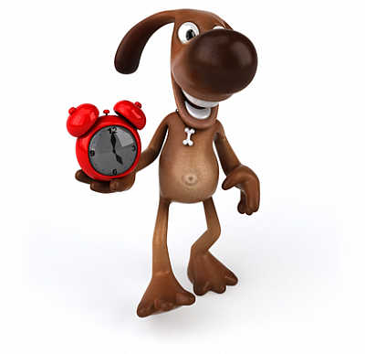 Doodytime - Pickerington | Hotels & Travel | Logo