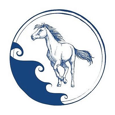Florida Beach Horses - Bradenton | Hotels & Travel | Logo