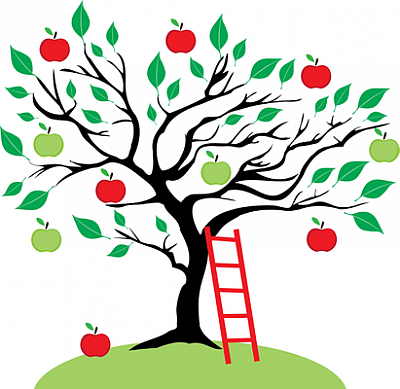 Avalon Montessori School - Nolensville | Classes & Lessons | Logo