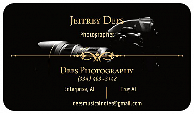 Dees Photography - ENTERPRISE | Classes & Lessons | Logo