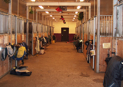A Wilderness Stable - Lincoln | Attractions | Logo