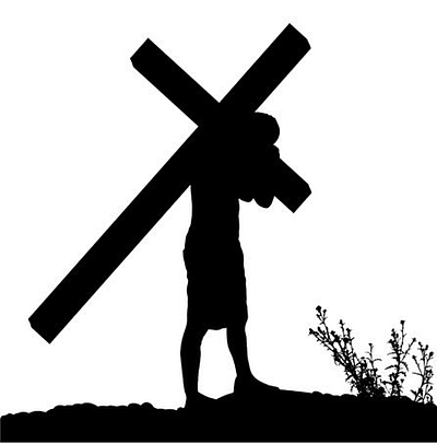 The Shepherds Disciples inc - Swansea | Education | Logo