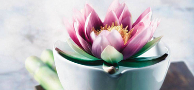 Healing Manifested, LLC - Columbus | Beauty & Spas | Logo