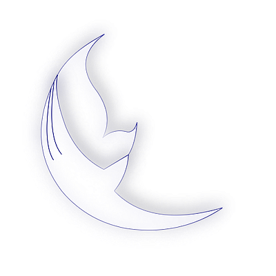 Pacific Esthetics Institute - Honolulu | Education | Logo