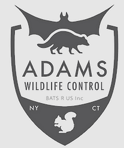 Adam's Wildlife Control and Removal - Yorktown Heights | Pets | Logo