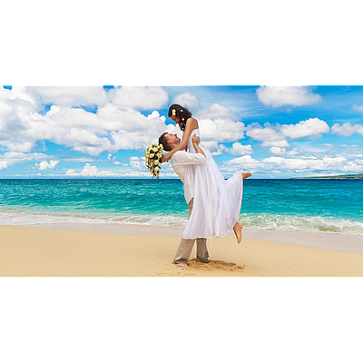 All In One Weddings of Florida - Portland, ME 04103 | Home Services | Logo