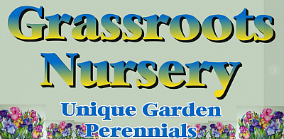 Grassroots Nursery - Gainsville | Baby & Kids | Logo