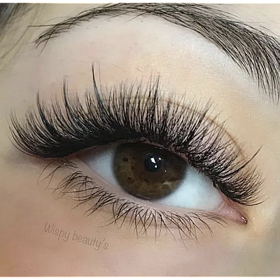 Wispy Beauty Bar - Walnut | Beauty & Spas | Logo