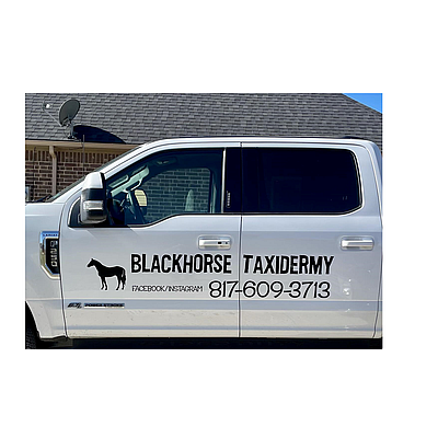 Blackhorse Taxidermy - Springtown | Local Services | Logo
